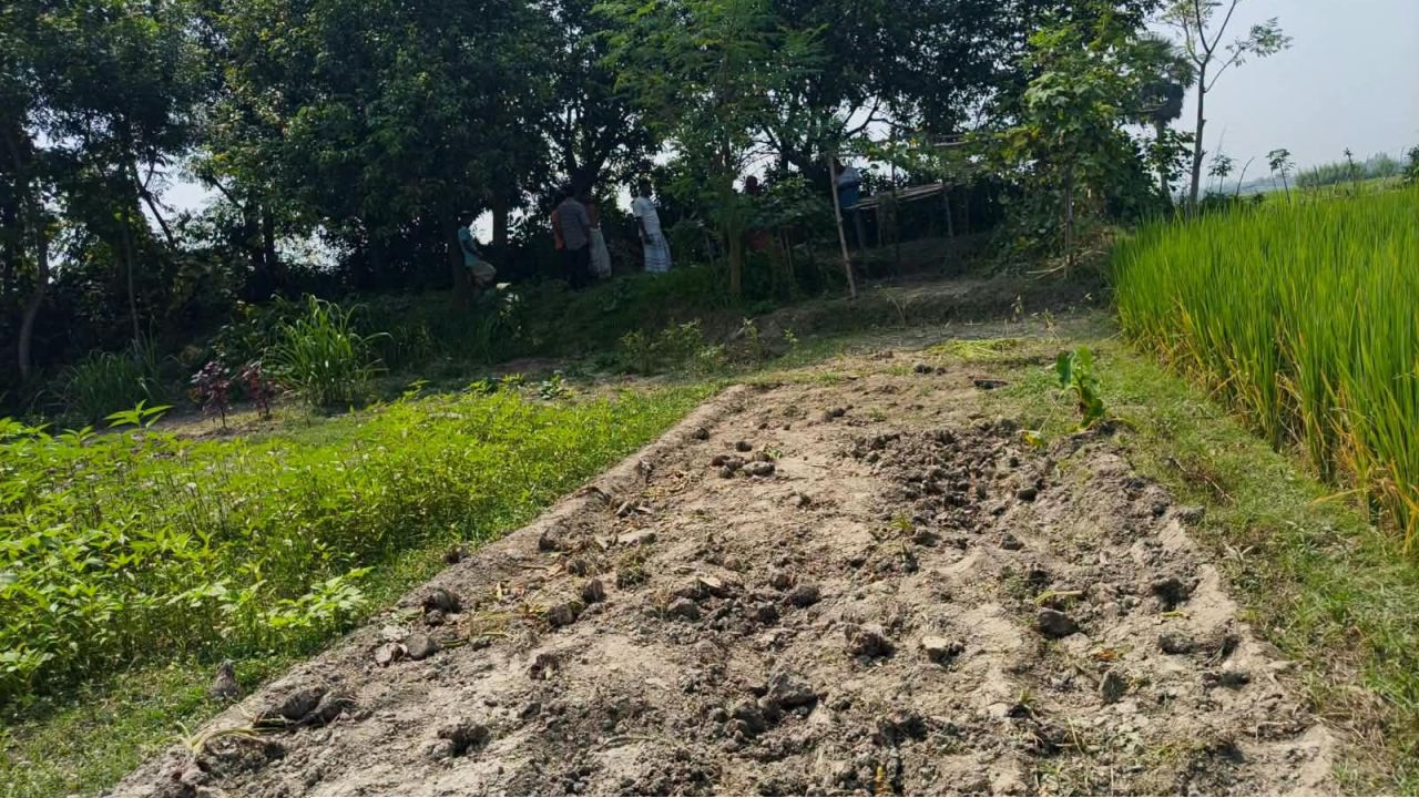 সাপাহারে কৃষকের পাঁচ কাঠা জমির সবজি কেটে দিল দুর্বৃত্তরা ২০ হাজার টাকার ক্ষতির আশঙ্কা